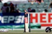 British Indian entrepreneur bats for bamboo to make cricket more affordable, accessible