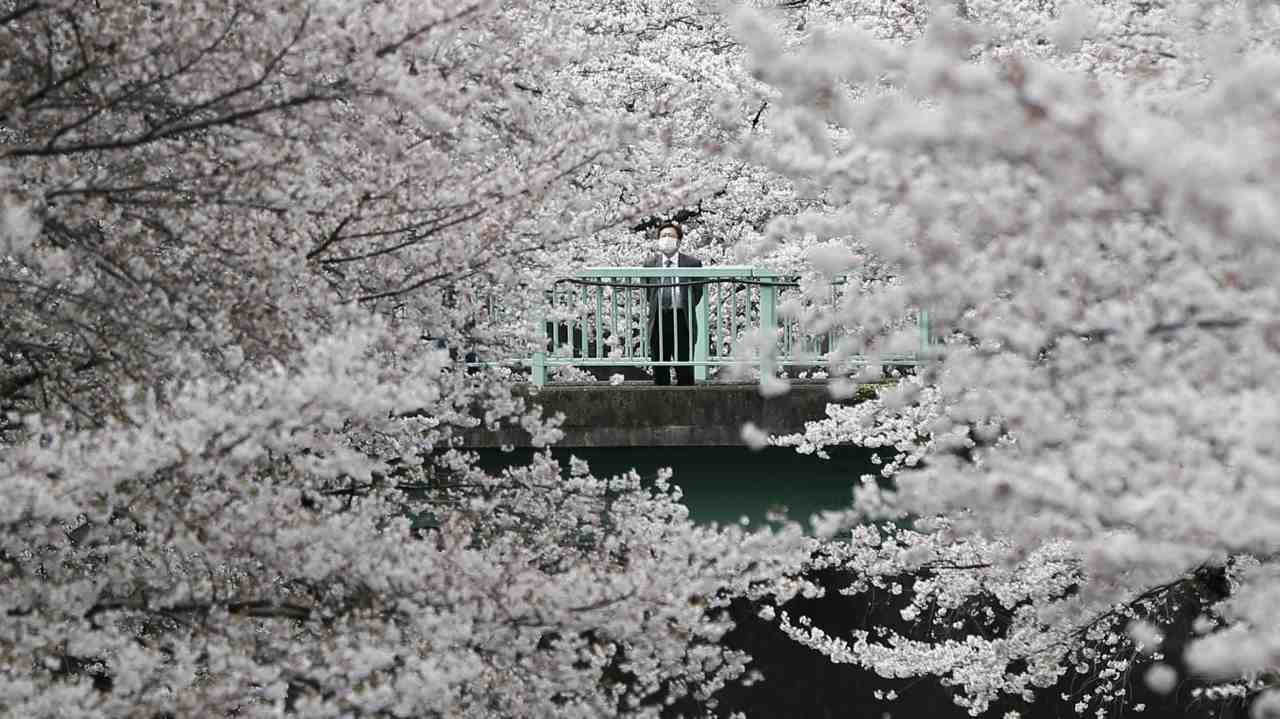 Japan | The Asian powerhouse will add 11 billionaires by 2027 taking the tally to 46. It is the third wealthiest country in the world by total wealth held in 2017. The citizens in Japan hold $19,522 billion. (Reuters)