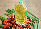 Edible oil imports in January 2nd highest; record shipments of cooking oils in Nov-Jan