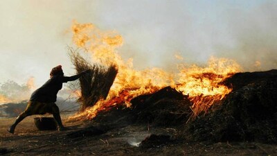 Opinion | Governments must be more proactive to clear the smog around crop burning