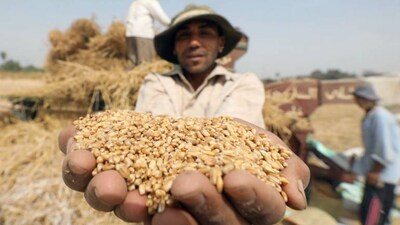Food production for 2022-23 estimated at record 329 million tonnes