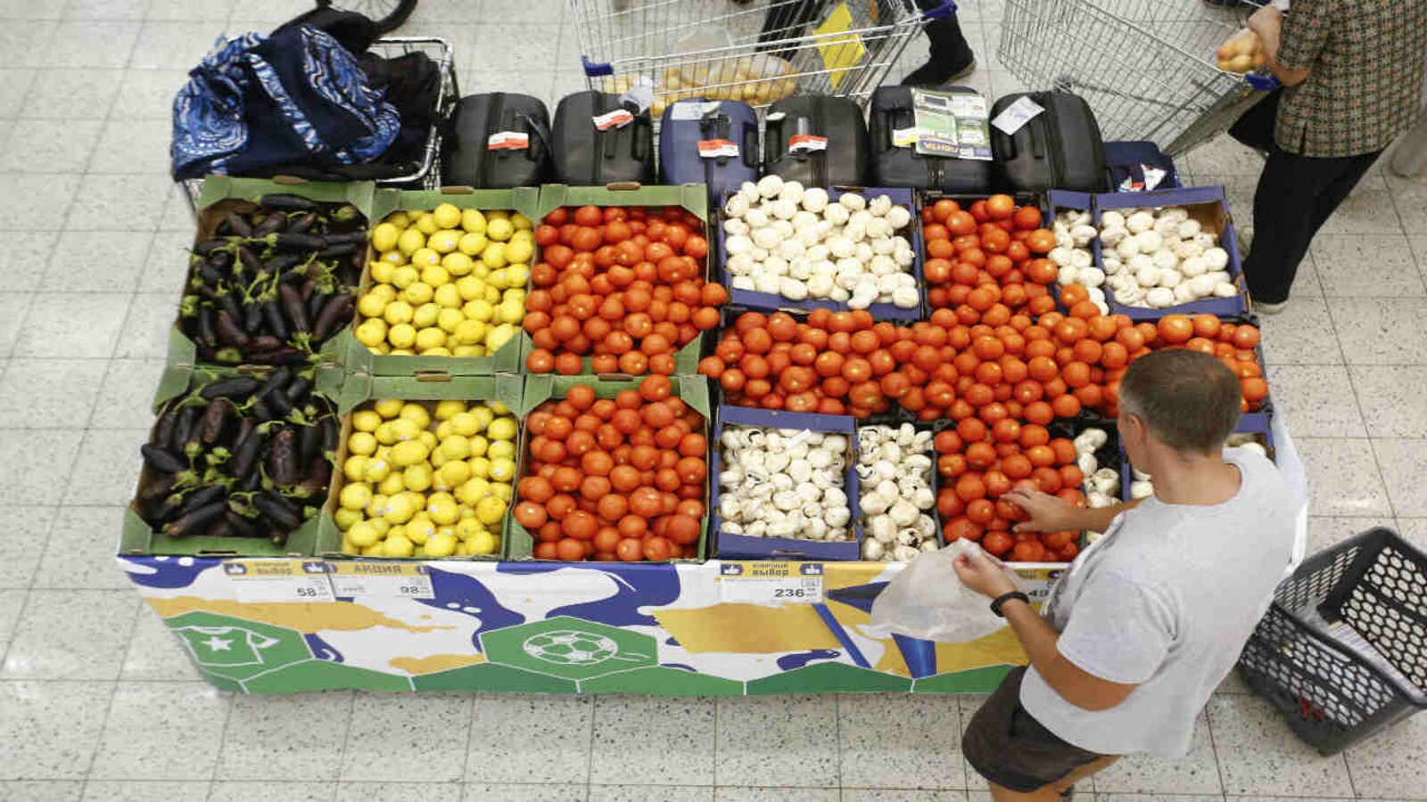 Create a Melhores frutas para farmar