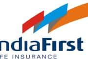 BNP Paribas, Prudential Plc, PE’s line up for Warburg Pincus stake in IndiaFirst Life Insurance