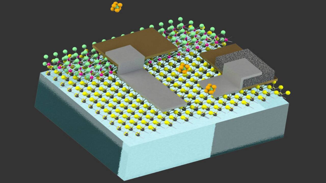 MIT's self-powered cell-sized robots could relay data from human body ...