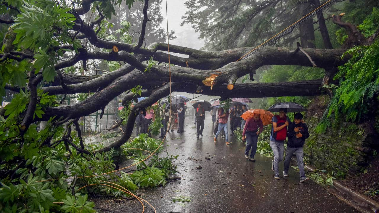 Cyclone Fengal Remains Stationary Near Puducherry, To Weaken In Next 3 ...