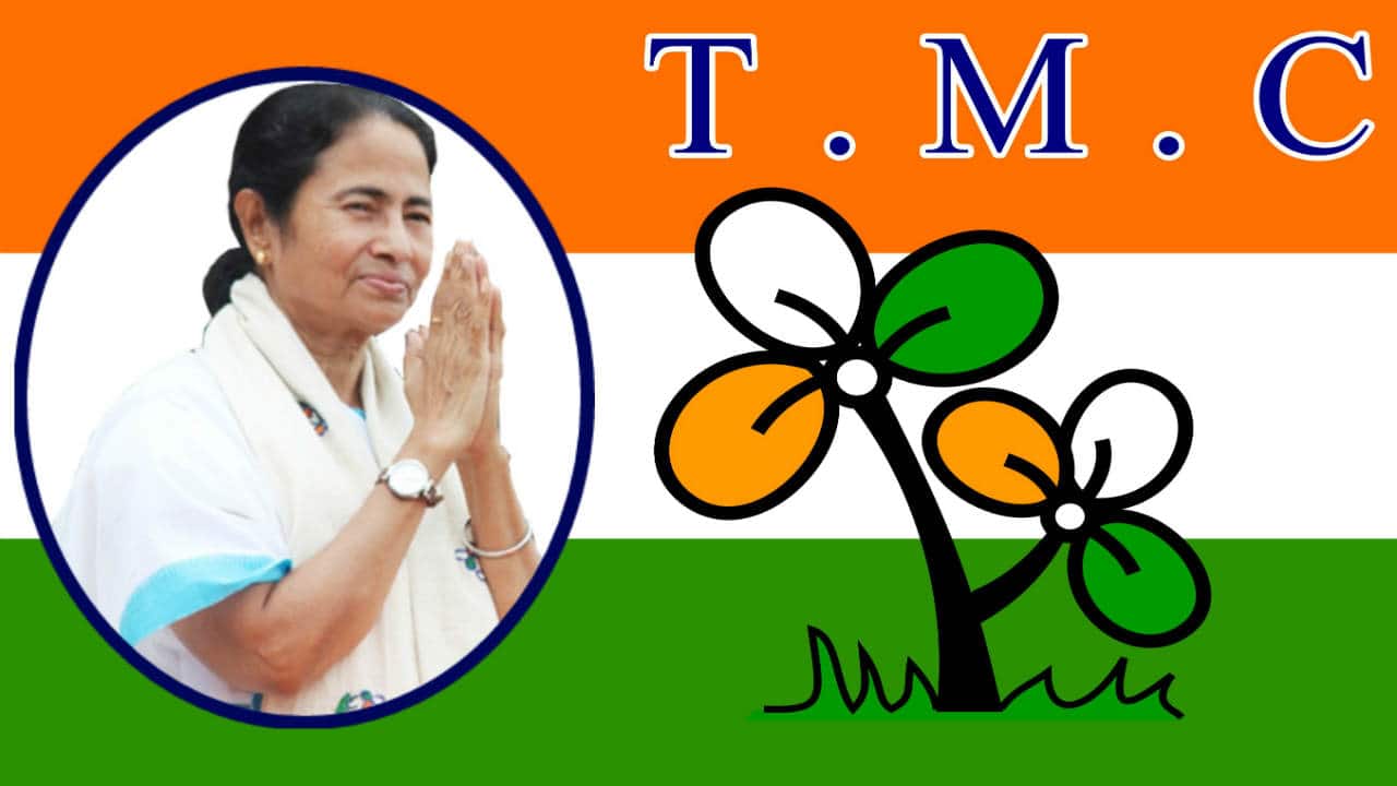 Image of Trinamool Congress  TMC  Party Flags Tagged On the Streets For  Election CampaignDE120809Picxy