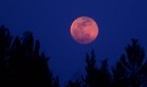 Chandra Grahan 2020: Final lunar eclipse of 2020 to take place on November 30; check place, timings, other details