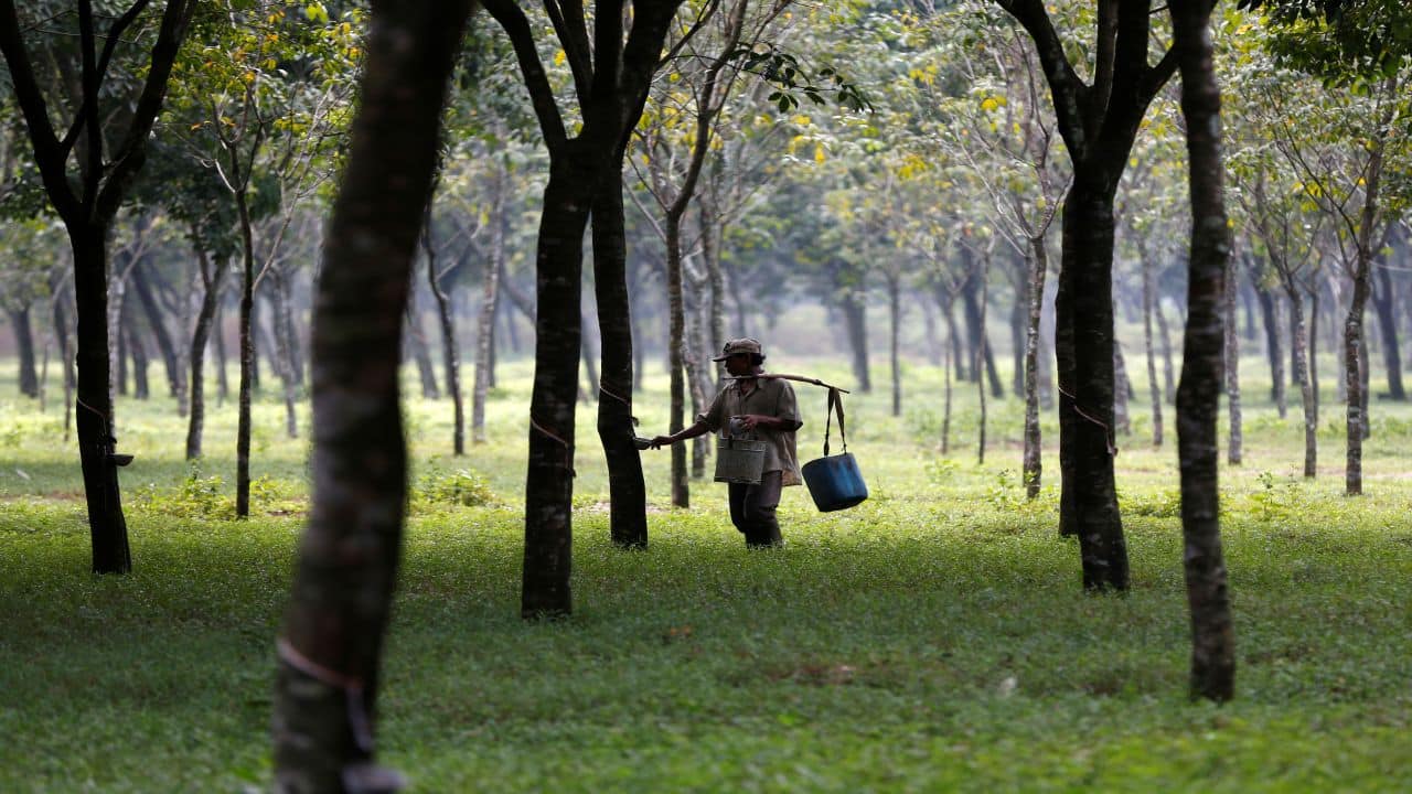 Rubber production on sale in india