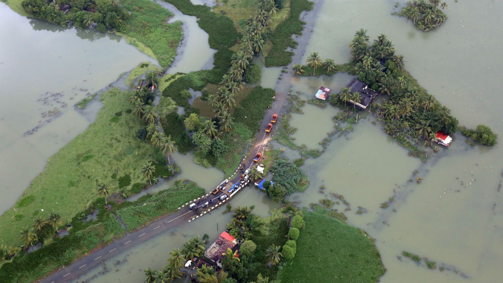 Kerala battles 'rat fever' outbreak after worst floods in a century