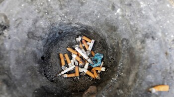 is loneliness as bad as 15 cigarettes a day Loneliness Is As Dangerous As Smoking 15 Cigarettes Per Day