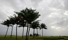 Monsoon rains to arrive on India's southern coast around June 8: IMD