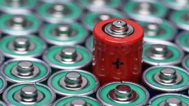 Neogen Chemicals at a crucial juncture despite the fire accident