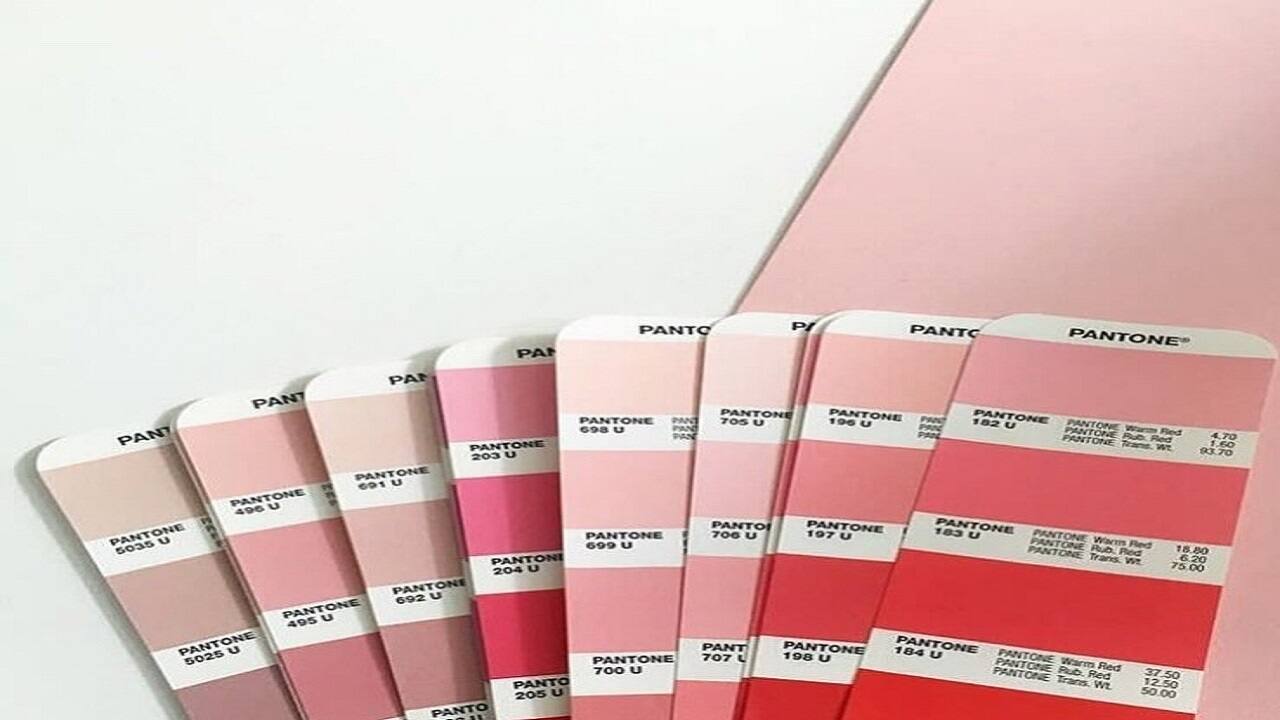 Ans. Selection of Pantone Color of the Year (Image: Facebook)