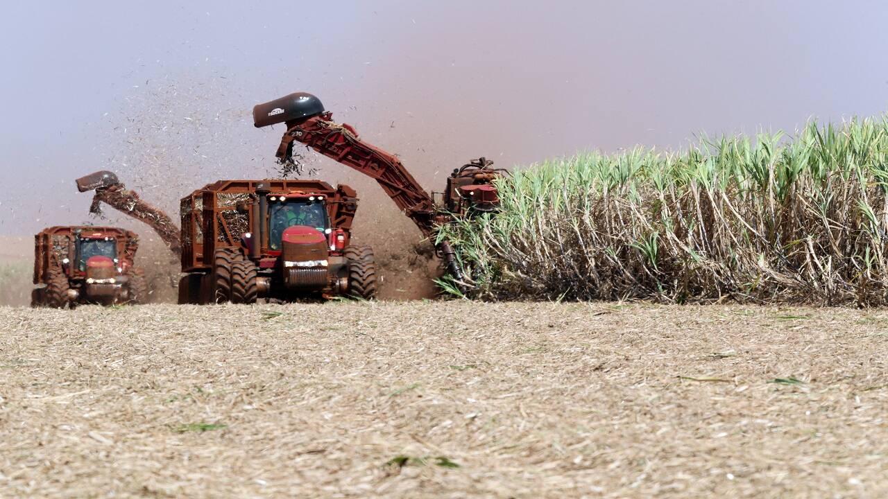 Sugar stocks rally up to 15% led by Uttam Sugar on back on heavy volumes