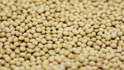Yashhtej Industries IPO News