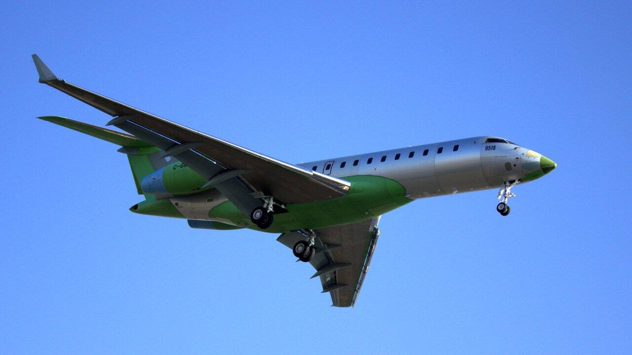 Answer: Bombardier (Image: Wikipedia)