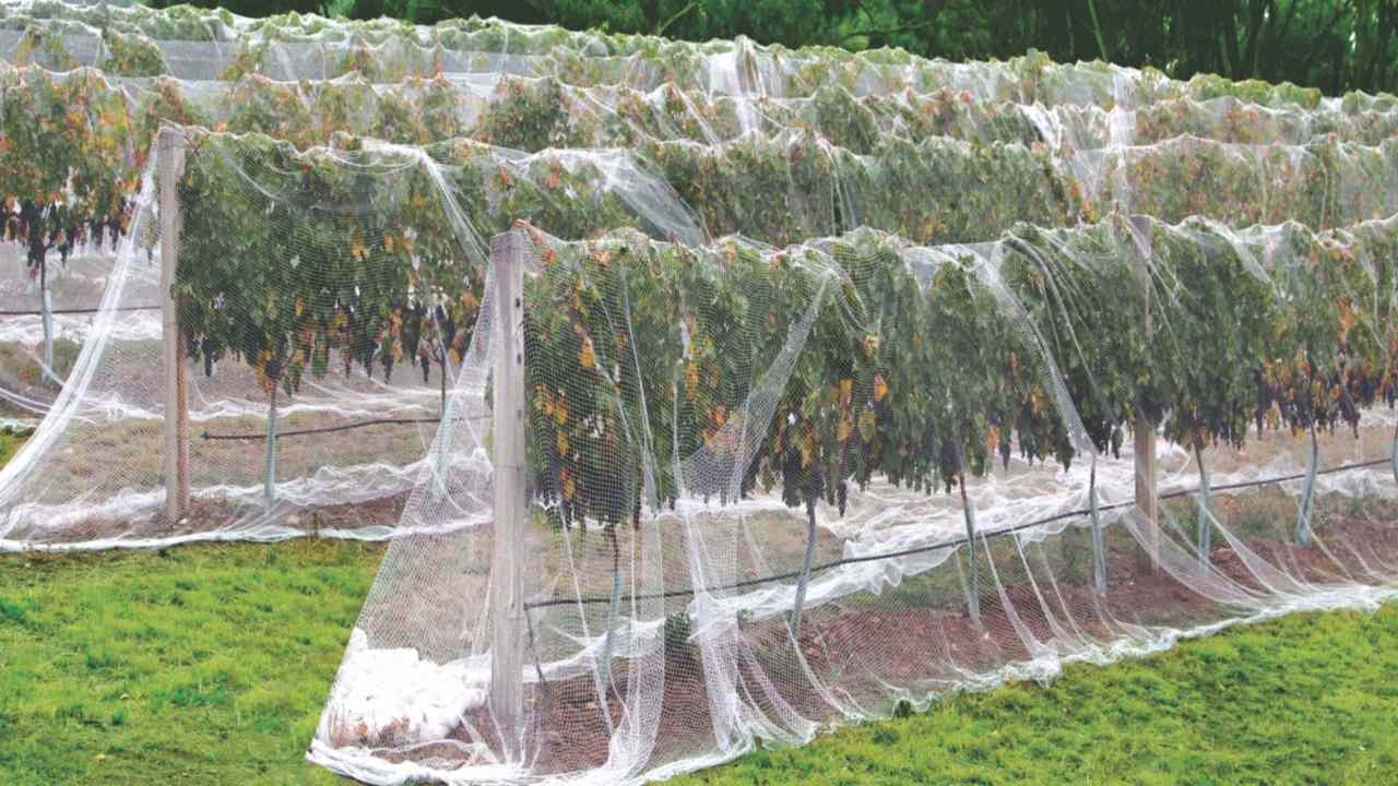 Garware Technical Fibres could transform agriculture and fisheries in India Garware Technical Fibres could transform agriculture and fisheries in India