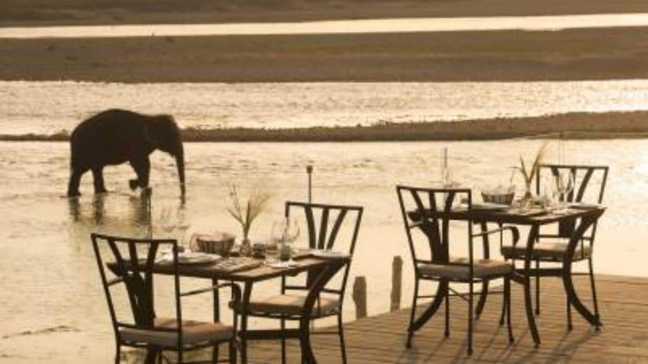 Exclusive: Government holds discussion on tax breaks for hospitality sector to revive demand Exclusive: Government holds discussion on tax breaks for hospitality sector to revive demand