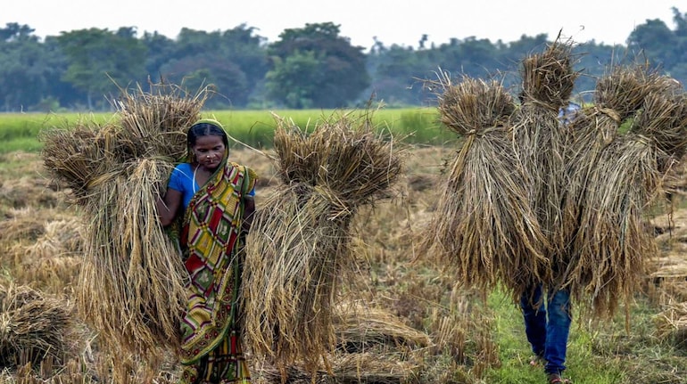 Recognise women farmers to increase agricultural output and India’s economy