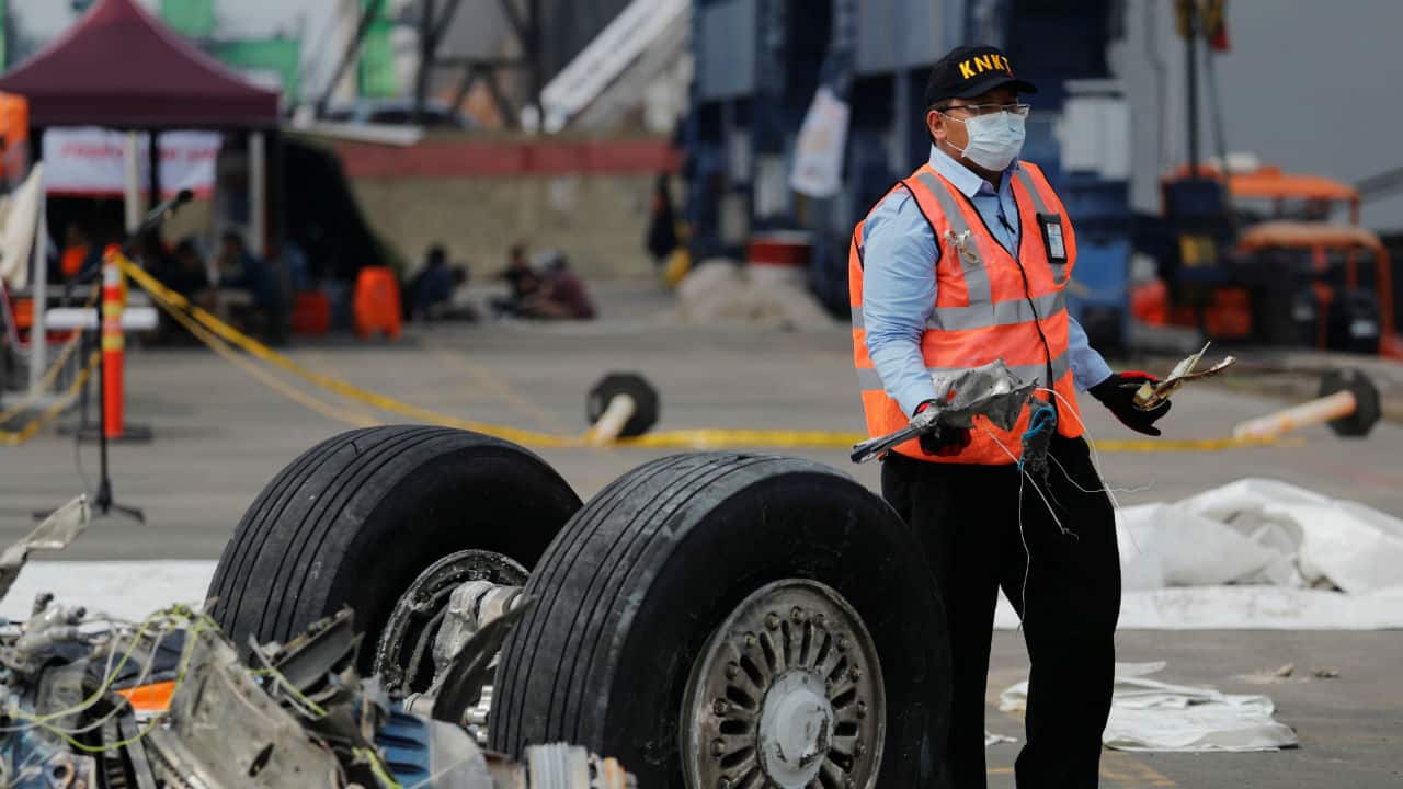 Govt forms expert panel to align air safety with global standards