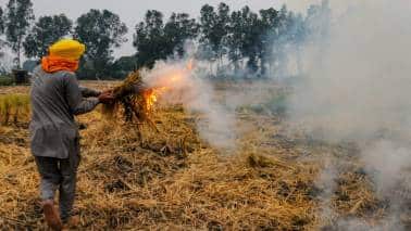 Stubble Burning | How the Green Revolution has left behind grey skies