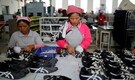 Need trainers in huge numbers to impart skill to 50 crore people: Skill Development Secretary