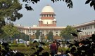 SC asks Centre to approve composition for Green crackers