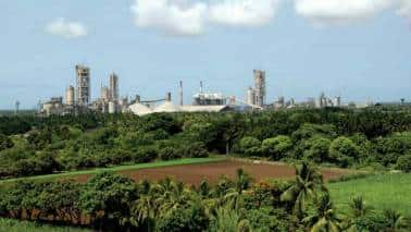 Ambuja Cement Q1 PAT seen up 1.8% YoY to Rs. 1,066.9 cr: Nirmal Bang