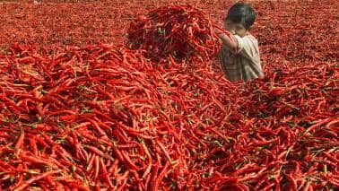 Is it time to worry about inflation in India? The Phillips curve has the answers