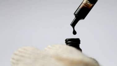 Macro Matters | Non-petroleum goods exports in June 2019 are lower than in September 2014