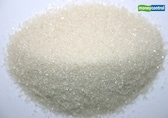 Shree Renuka Sugars Q4 net profit declines 72.61% to Rs 42.8 crore