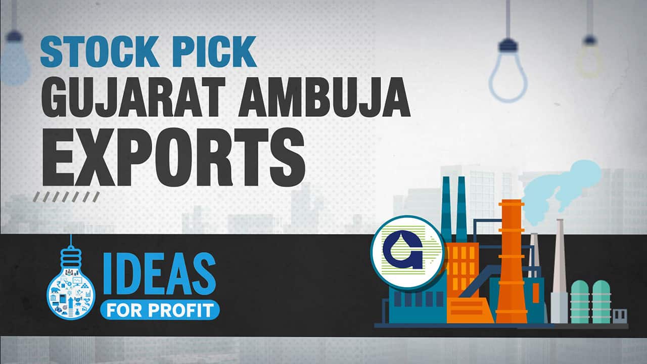 Ideas for Profit | 4 factors that make Gujarat Ambuja Exports an attractive long term pick
