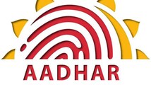 PAN, Aadhaar a must for cash transactions above Rs 20 lakh a year