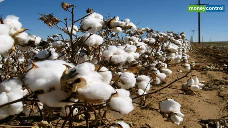 Will cotton prices cool off as demand for yarn loses momentum?