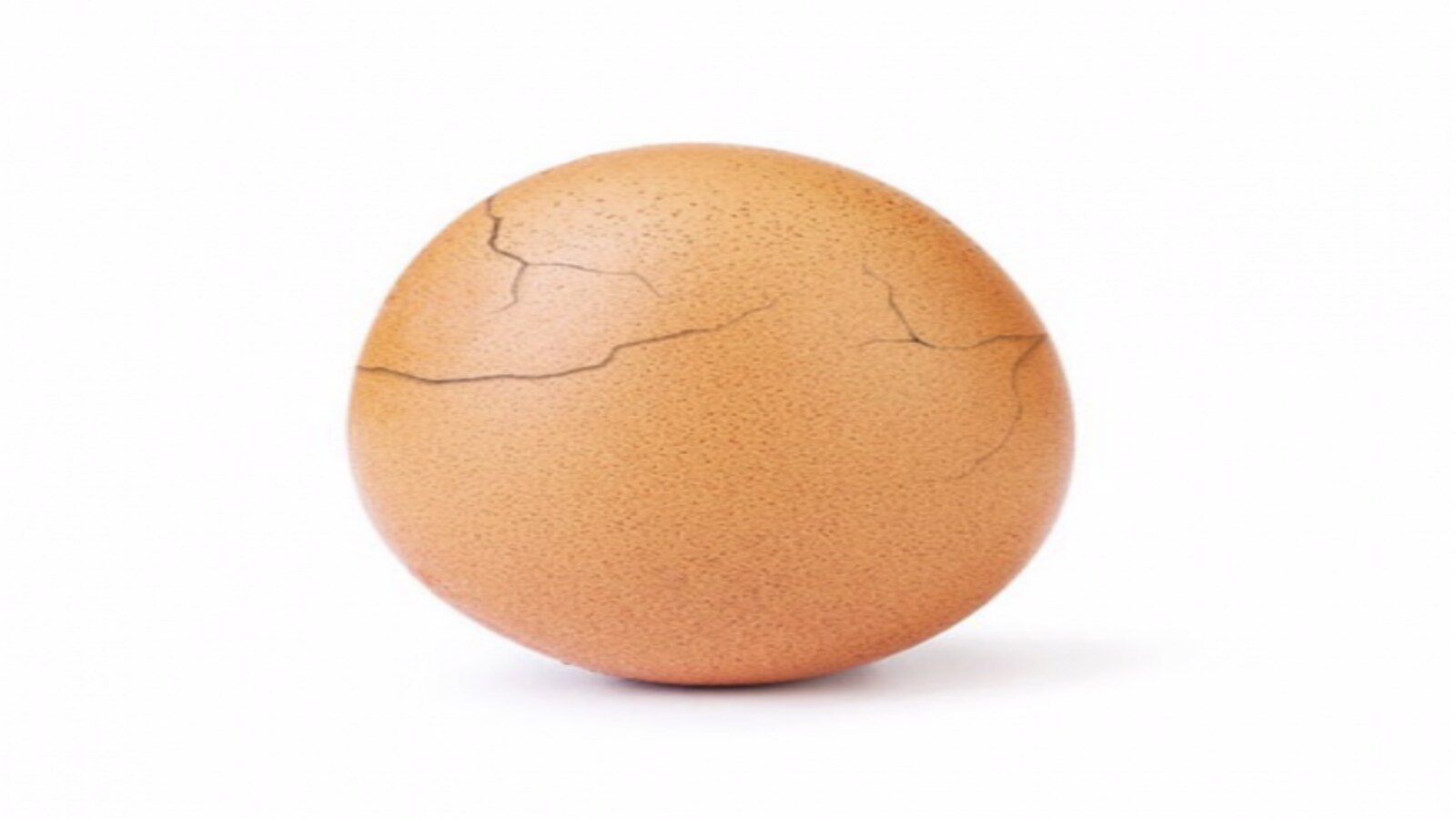 Hulu Will Crack Open Instagram's Most Influential Egg, Revealing All After  the Super Bowl