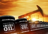 Importing crude oil from Canada remains unfeasible for India as of now: Govt source