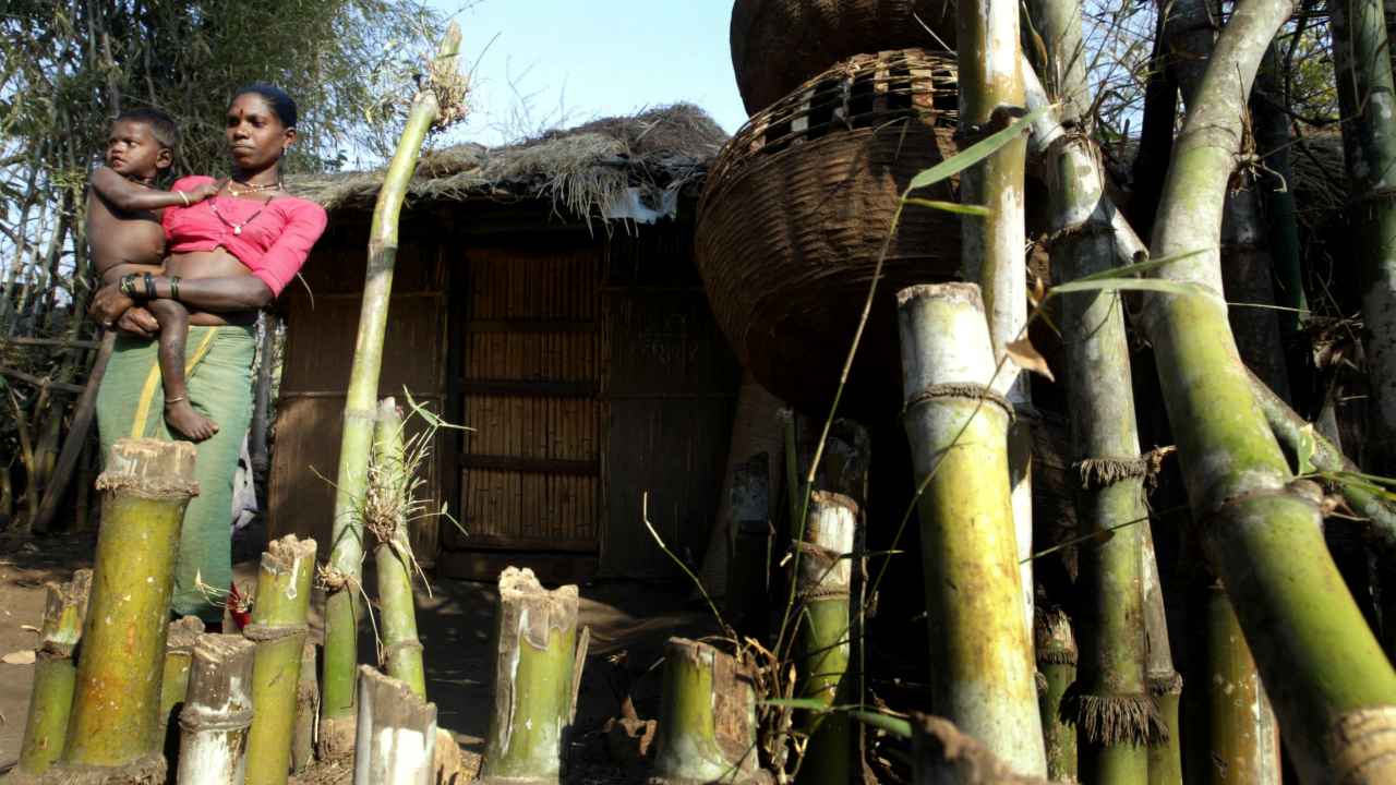 Explained | Bharat Bandh on March 5: Why are over 11 lakh tribals across 21 states up in arms?