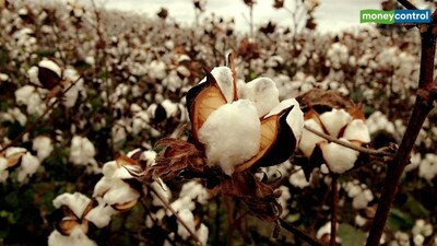 Respite on cotton imports unlikely to offset pain from US tariffs for textiles