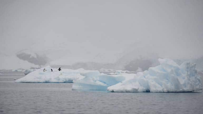COVID-19 Now On All 7 Continents: Coronavirus Reaches Antarctica Via Chilean Research Station - Vimarsana News