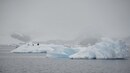 COVID-19 now on all 7 continents: Coronavirus reaches Antarctica via Chilean research station