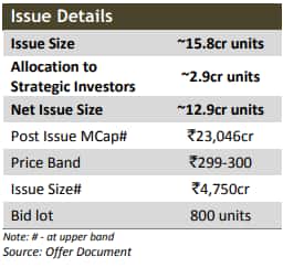 issue details