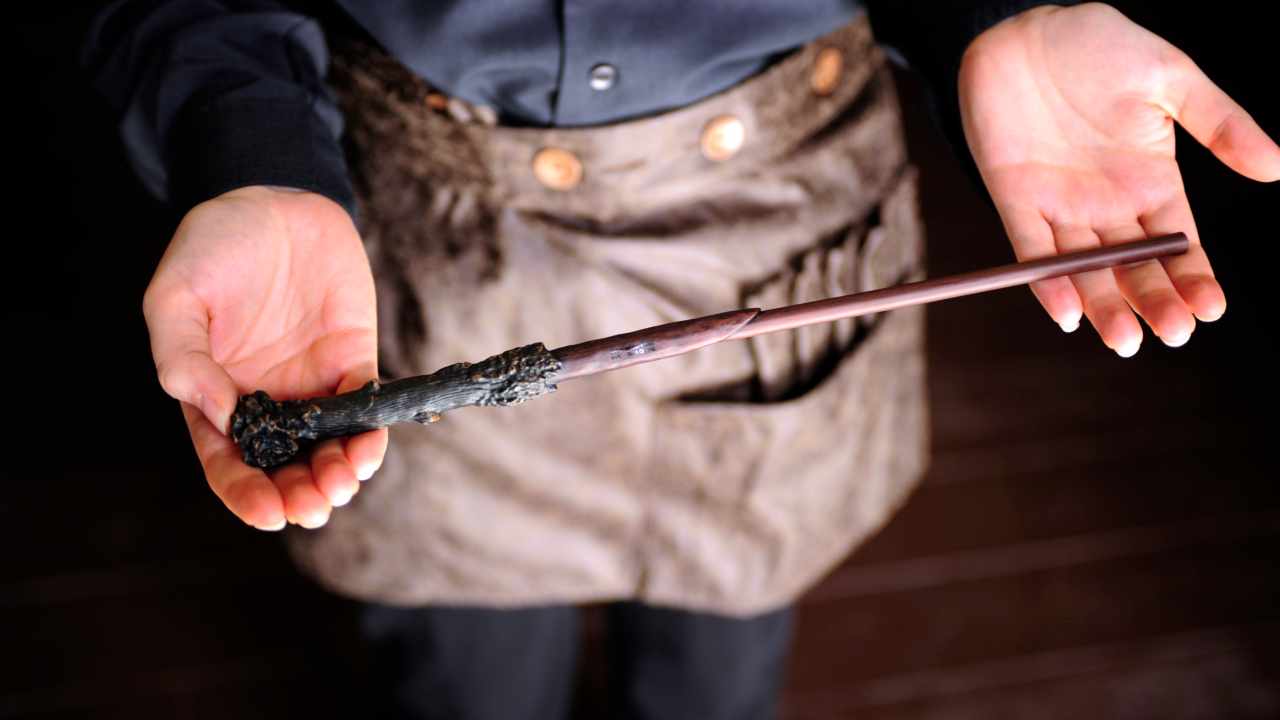 7. Harry Potter Magic Wand | Looks like this person missed the first lesson they teach at Hogwarts: Never lose your wand. (Image: Reuters) 7. Harry Potter Magic Wand | Looks like this person missed the first lesson they teach at Hogwarts: Never lose your wand. (Image: Reuters)