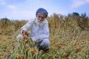 Big update on PM-KISAN 21st installment: Government announces release date, key upgrades