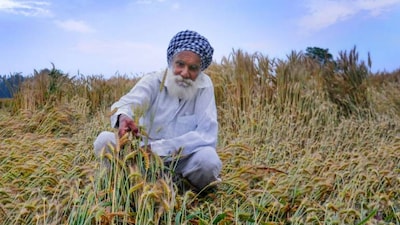 PM KISAN Yojana update: Government announces release date for  21st installment, key upgrades