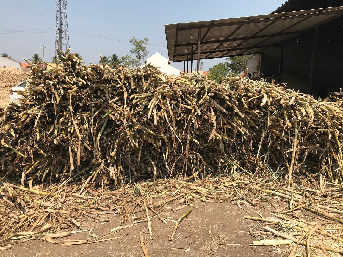In Karnataka, this once prosperous sugarcane district is now counting its dead