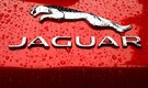 Jaguar Land Rover sales slow in India over lack of clarity on UK FTA: Report