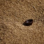 Khandwa, MP (Reuters) - Copy