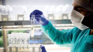 Corporate Corridor | Pharma has a tough climb to regain investor faith Corporate Corridor | Pharma has a tough climb to regain investor faith