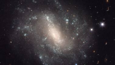 Scientists may have found the universe’s first stars