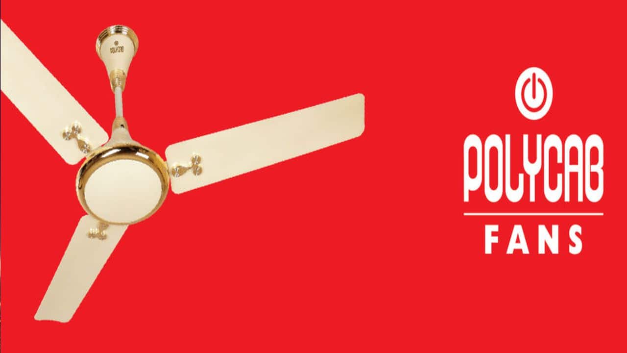 Polycab India merits serious attention